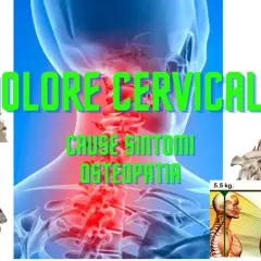 Anatomia del collo con focus su osteocondrosi cervicale. Immagini di scheletri, muscoli e vertebre evidenziano il dolore cervicale e le sue cause.