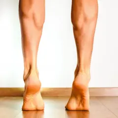 Gambe in punta di piedi, evidenziando la muscolatura e il tendine tibiale anteriore.