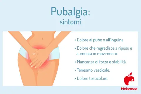 Dolore al pube e all'inguine, tipico della pubalgia cronica, che peggiora con il movimento. Sintomi: tenesmo vescicale, dolore testicolare.