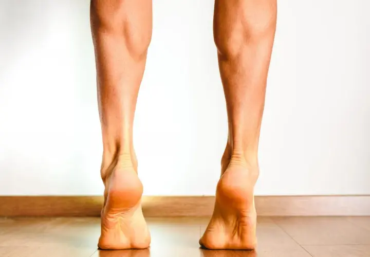Gambe in punta di piedi, evidenziando la muscolatura e il tendine tibiale anteriore.