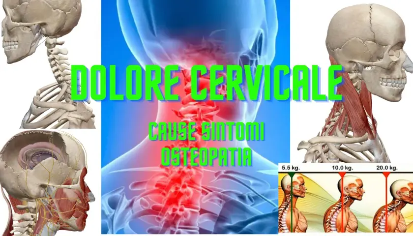 Anatomia del collo con focus su osteocondrosi cervicale. Immagini di scheletri, muscoli e vertebre evidenziano il dolore cervicale e le sue cause.