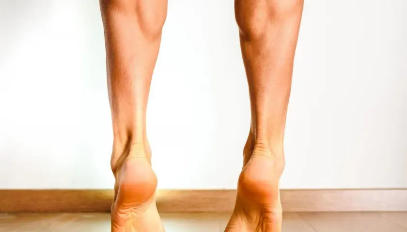 Gambe in punta di piedi, evidenziando la muscolatura e il tendine tibiale anteriore.