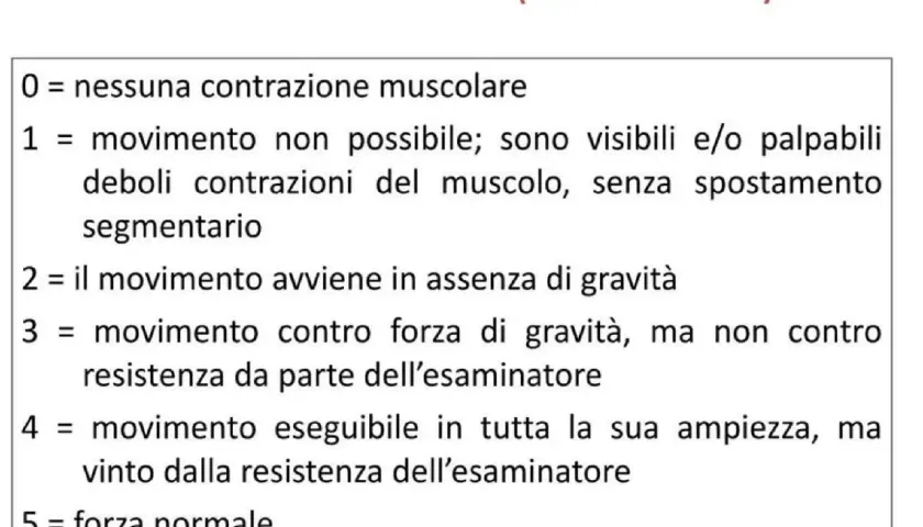 Scala MRC per la forza muscolare: da 0 (nessuna contrazione) a 5 (forza normale), con descrizioni dettagliate per ogni livello.