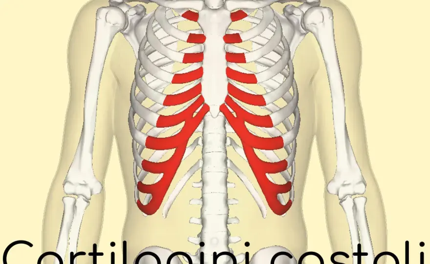 Costocondrite e dolore al petto, quando preoccuparsi?