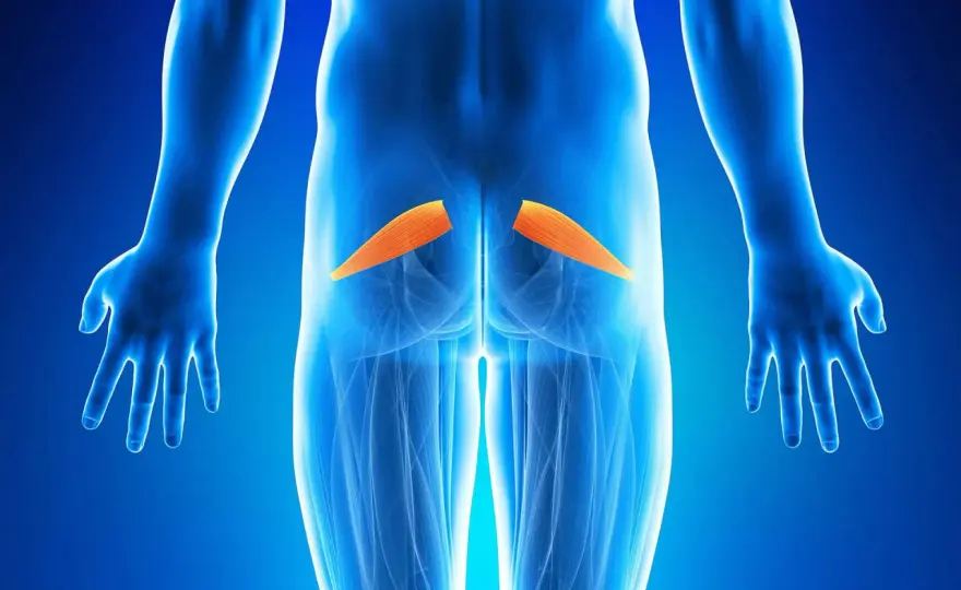 Dolore al piriforme - sintomi, rimedi e differenze dalla sciatica