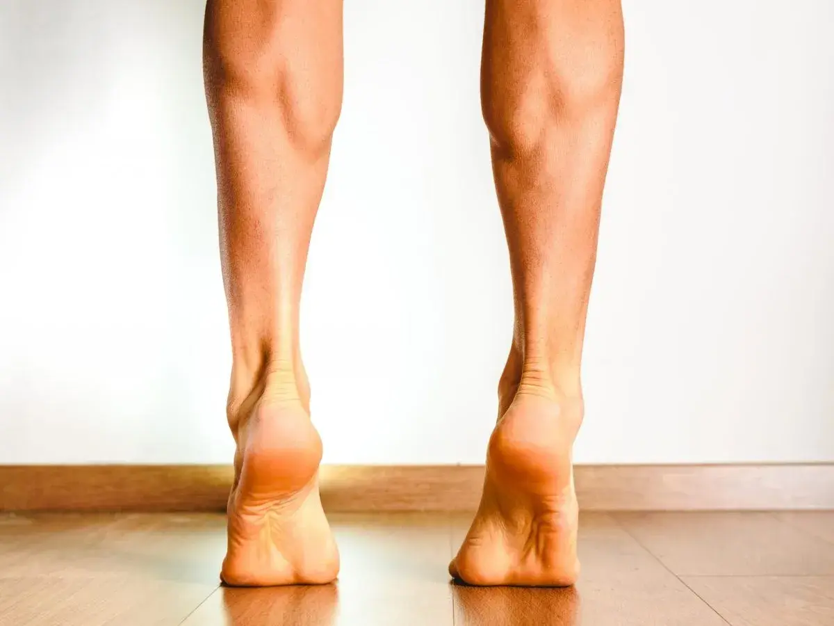 Gambe in punta di piedi, evidenziando la muscolatura e il tendine tibiale anteriore.