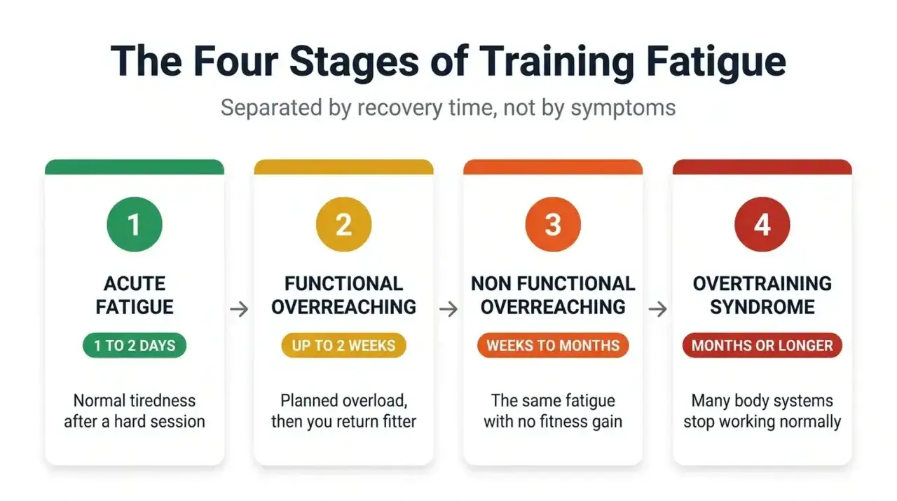 Le quattro fasi della fatica da allenamento: da stanchezza acuta a sovrallenamento, con i relativi sintomi e tempi di recupero.